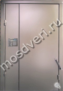 Подъездная дверь с домофоном, порошковый окрас - купить от производителя Мосдвери Подъездная дверь с домофоном, порошковый окрас